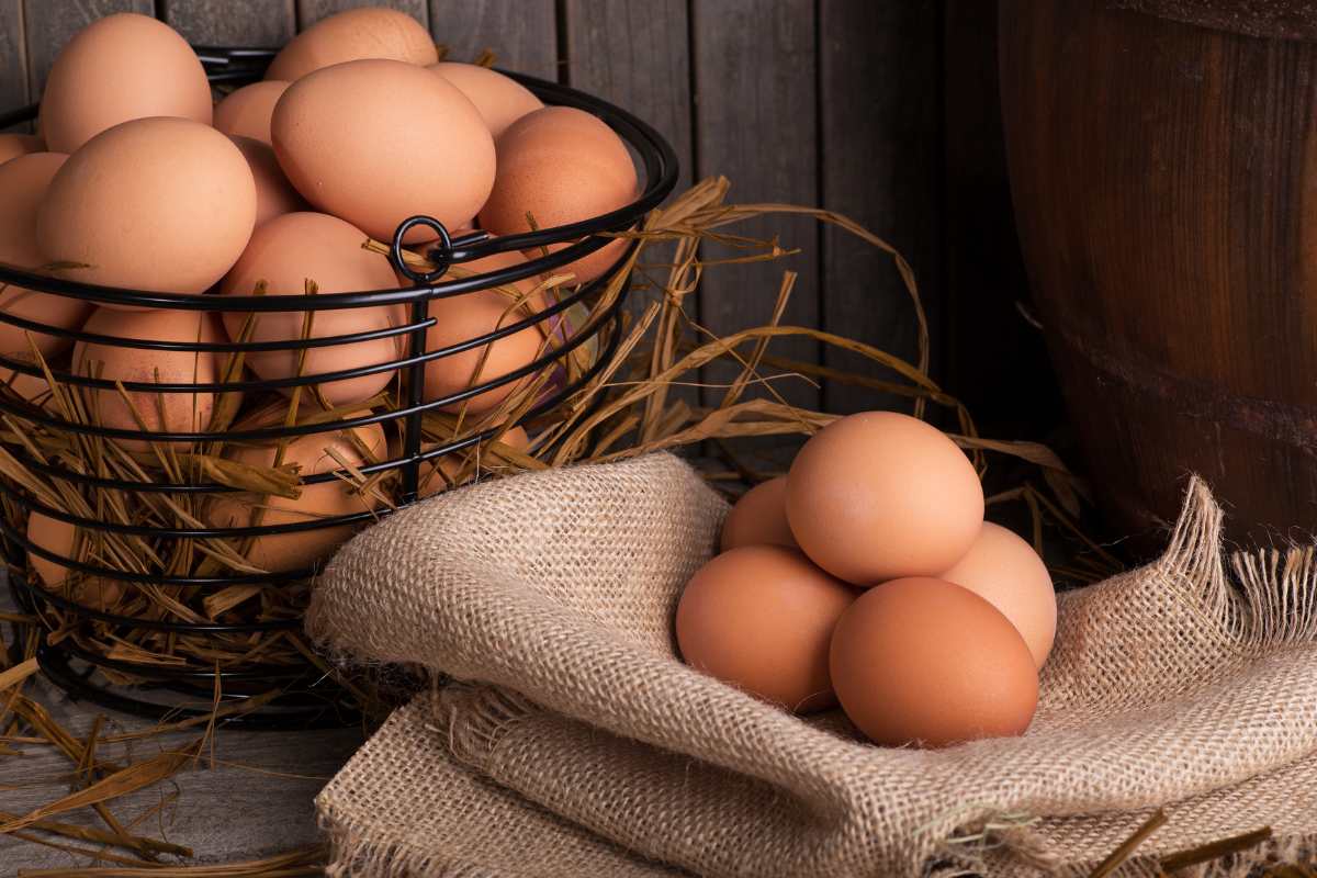 Come scegliere le uova al supermercato